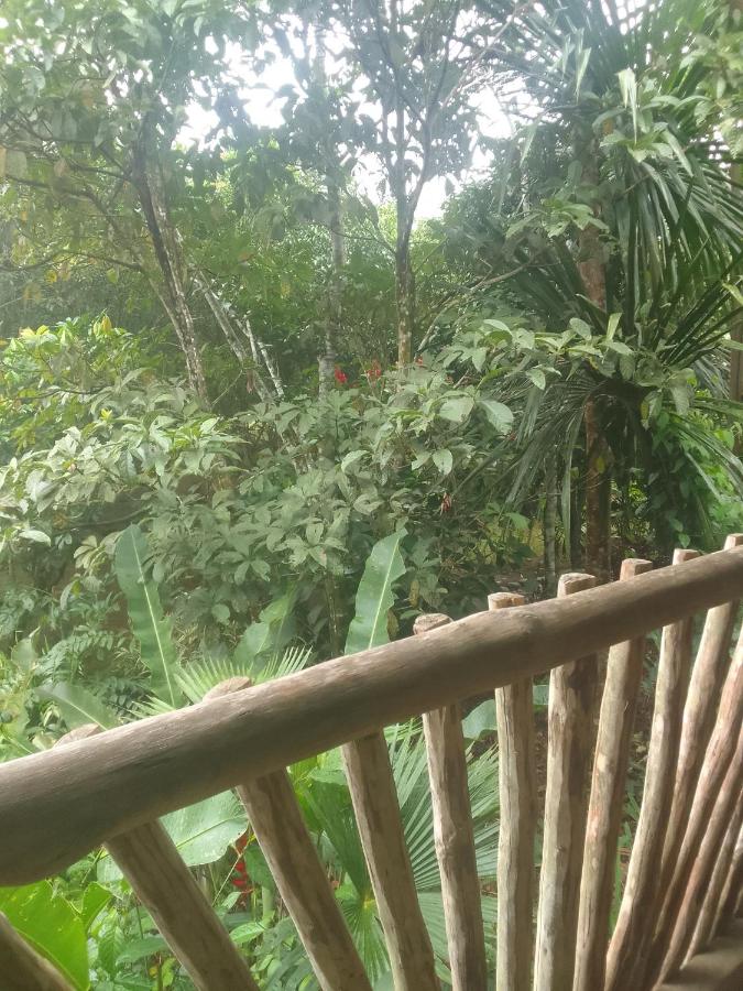 Standard Double Room with Shared Bathroom