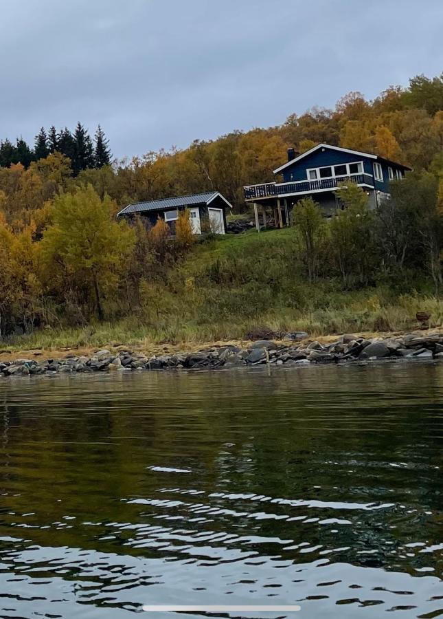 Moose Island- Lofoten, Tromsø, Senja - Bed and Breakfast Engenes