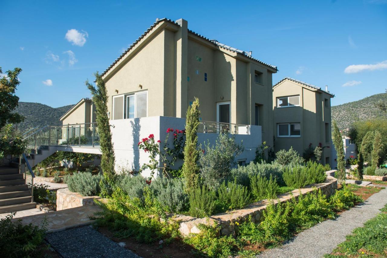 Lavender Cove - B&B