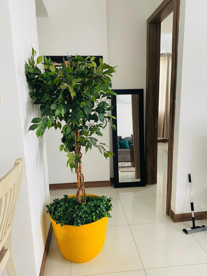 Metcalfe Two Bedroom Suite - Bed and Breakfast Kingston