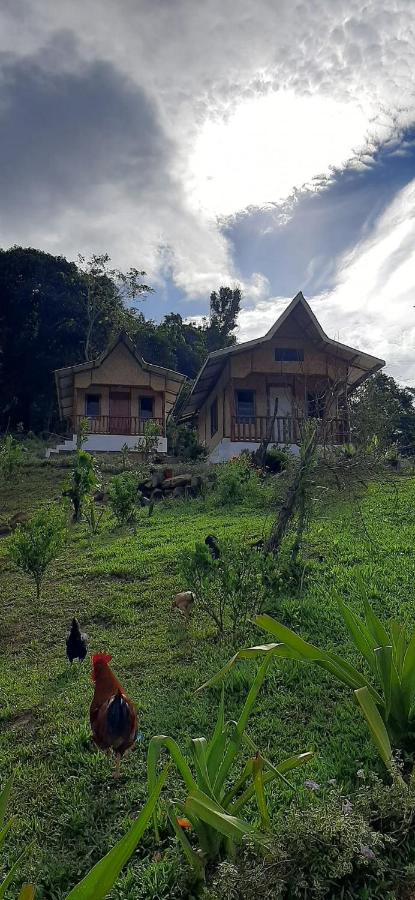 Manga's swimming pool - B&B El Nido