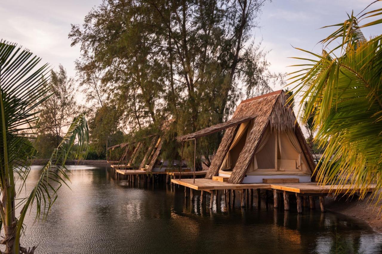 Glamping Nest