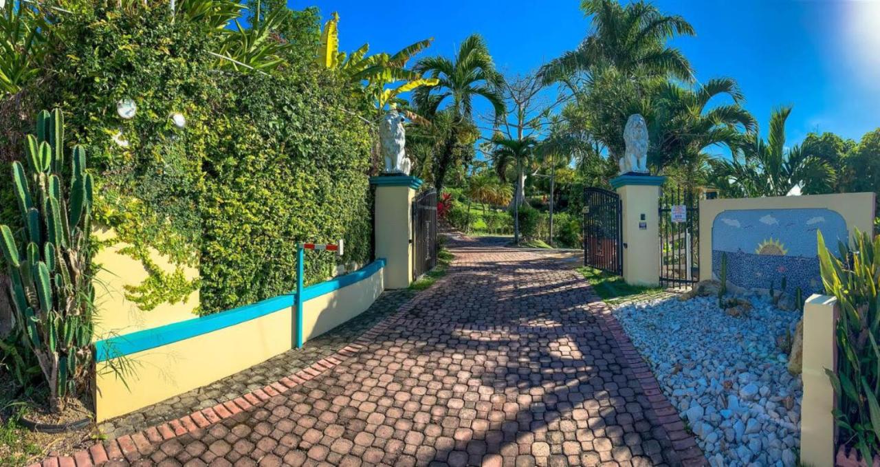 Casita 1 at Ceiba Tree Inn. Tranquility with Garden Views and Pergola with Ocean Overlook - Chambres d'hôtes Rincon