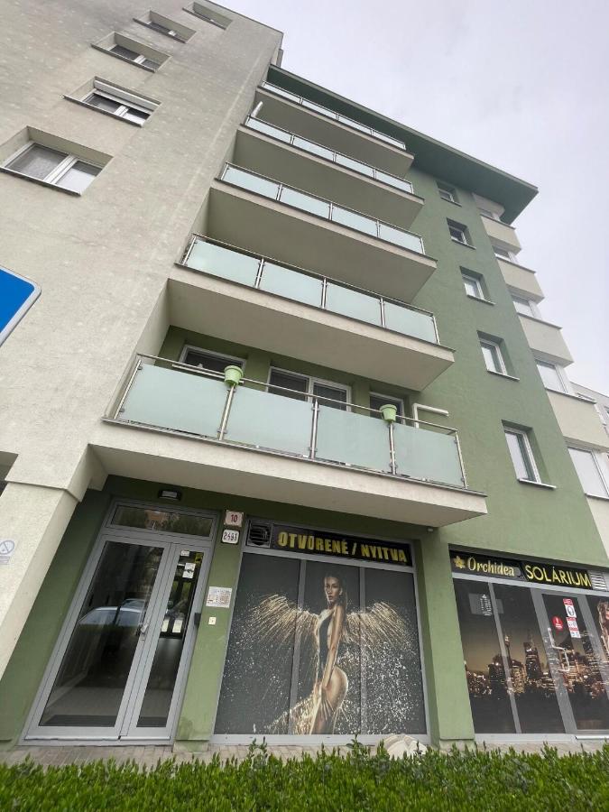 Samorin Loft with large terrace - B&B