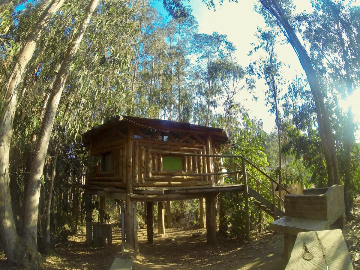 Cabanas Curi-Huapi - B&B