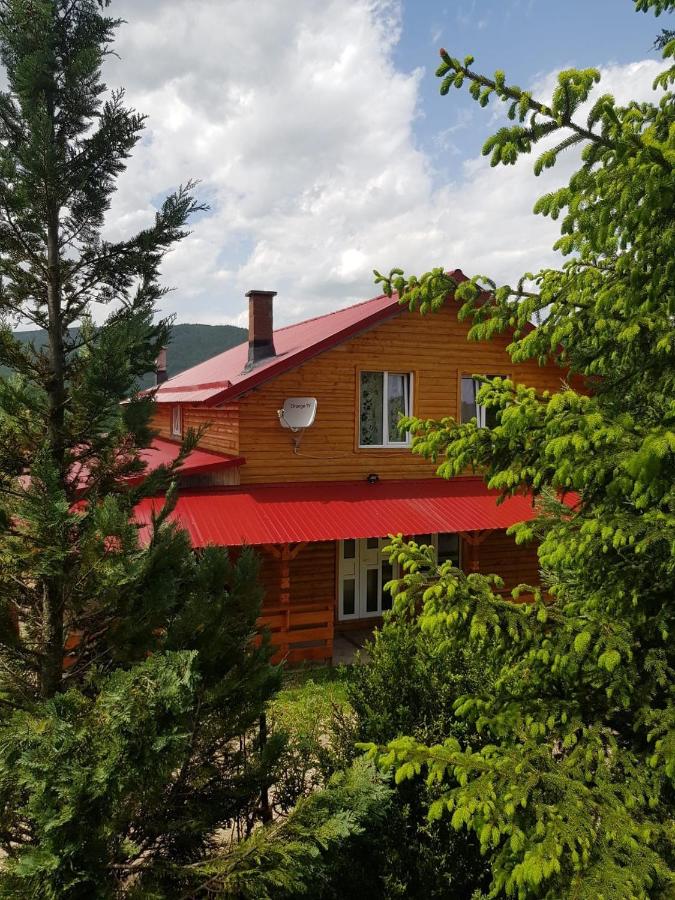 Cabana Goia Paltinei - B&B