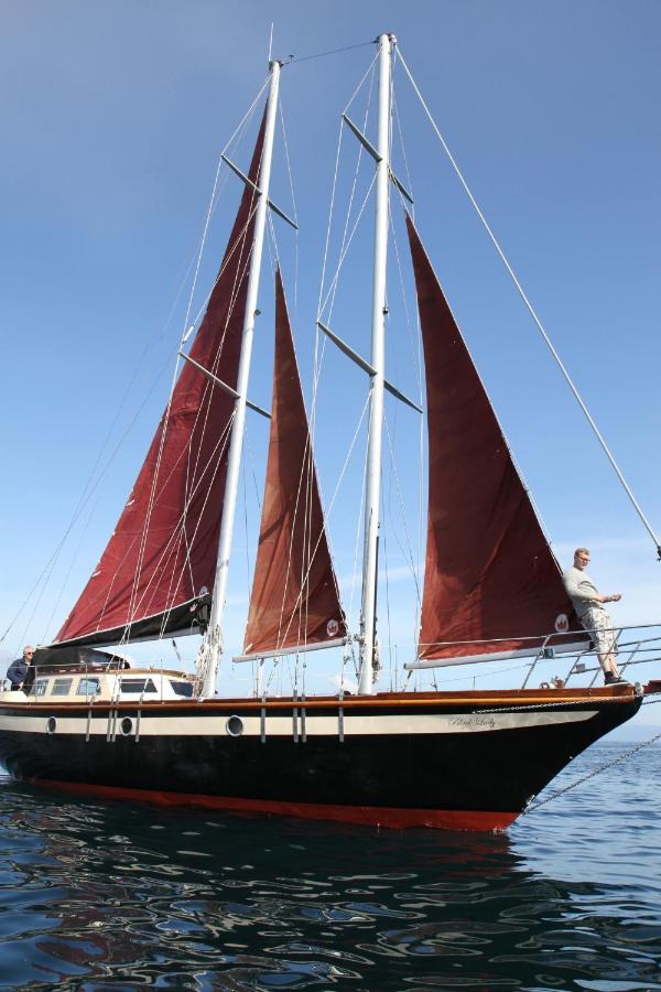 Black-Lady - B&B Toftir