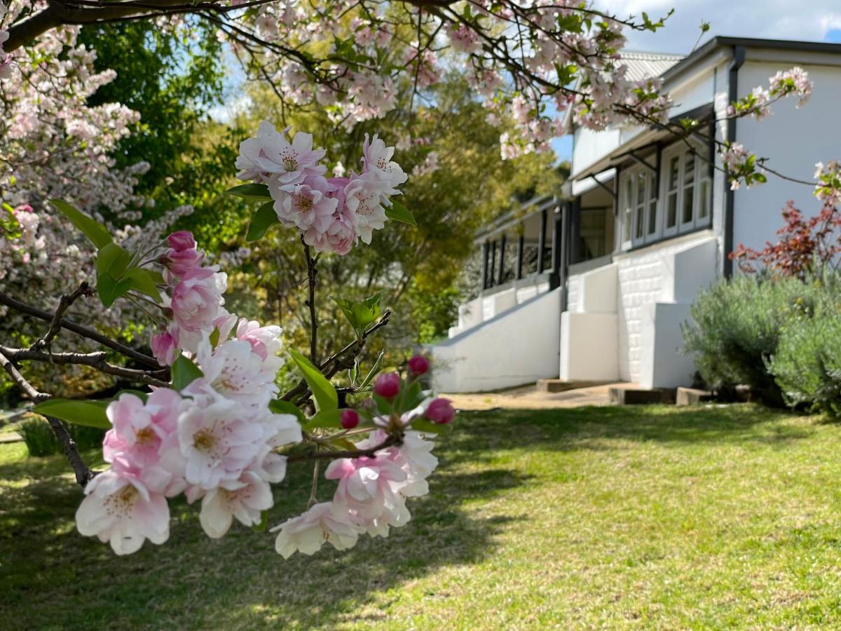 Hanami Place - Kandos - 4 bedroom house 1-8 people - B&B