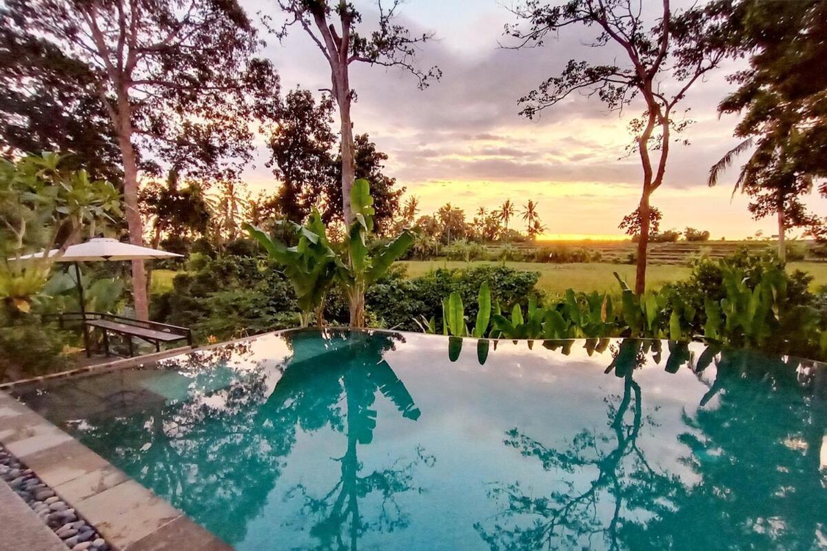 Ubud 3-bedrooms with sunset view - B&B