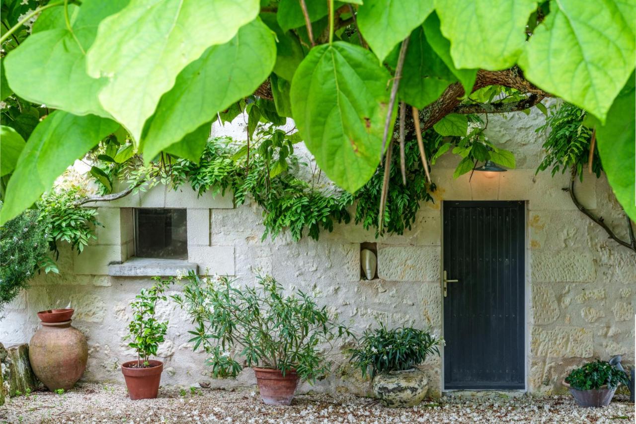 Maison de campagne sud Touraine avec piscine 8px - B&B Crouzilles