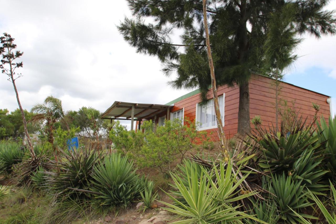 Bungalow