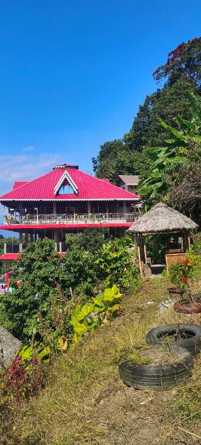 Sunshine Homestay - B&B