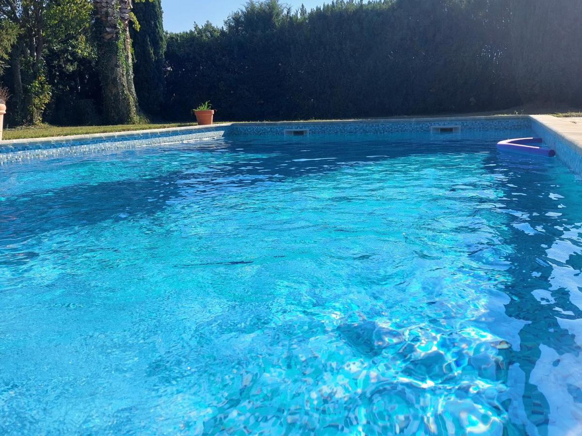 Mas Carrut pool and comfort - B&B