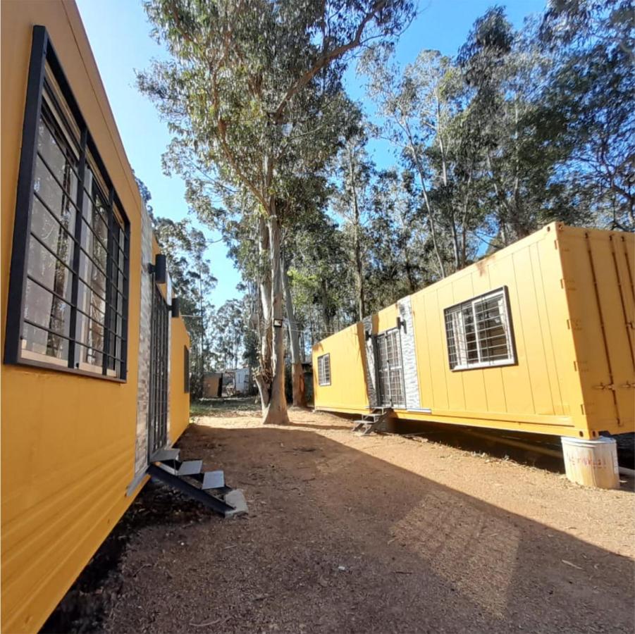 La gran sirena - B&B