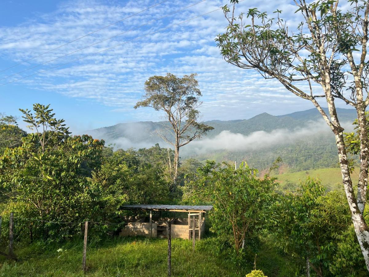 Reserva Wanaka - B&B San Carlos