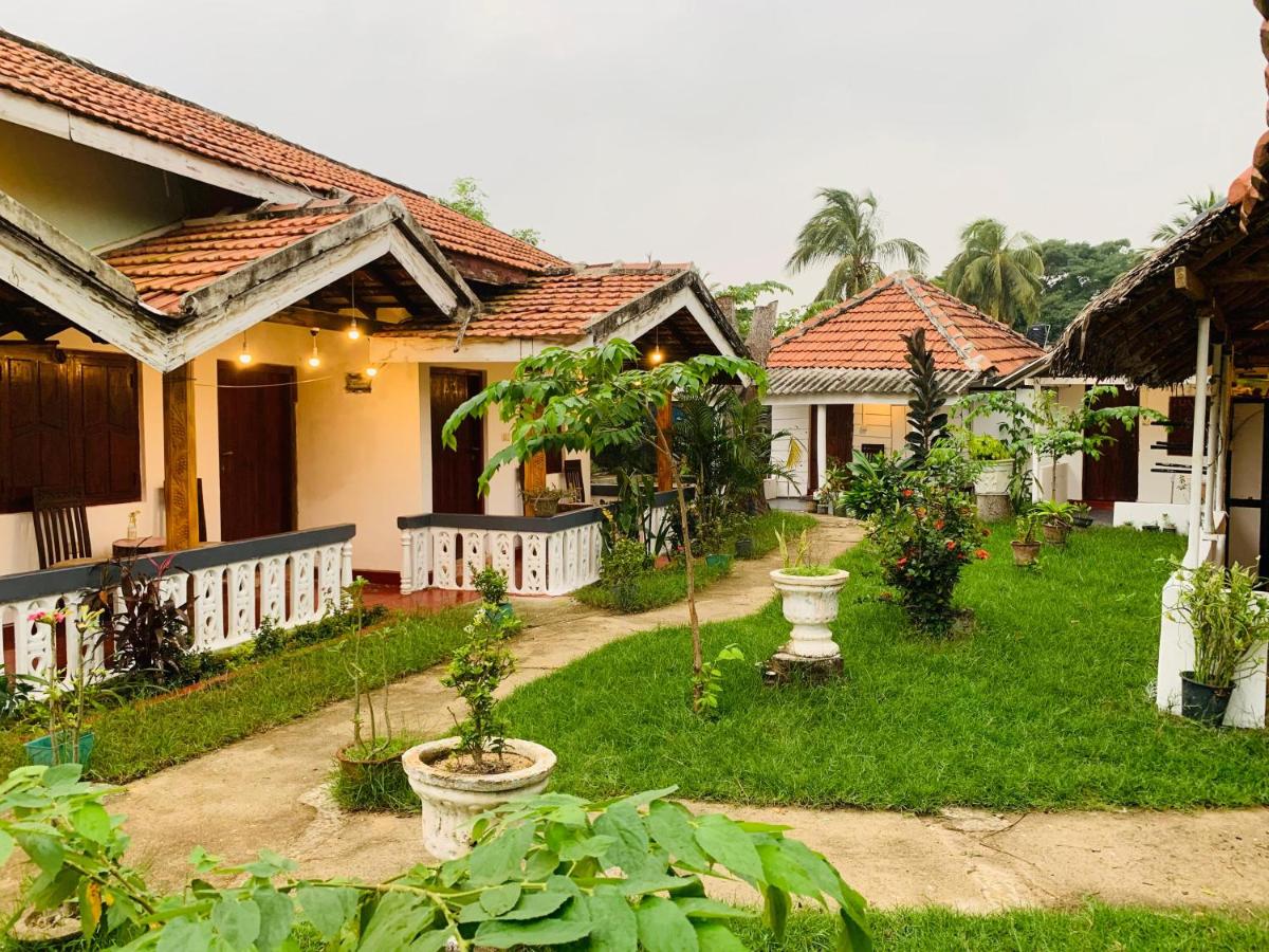 Little Fairy Home B&B - B&B Arugam Bay