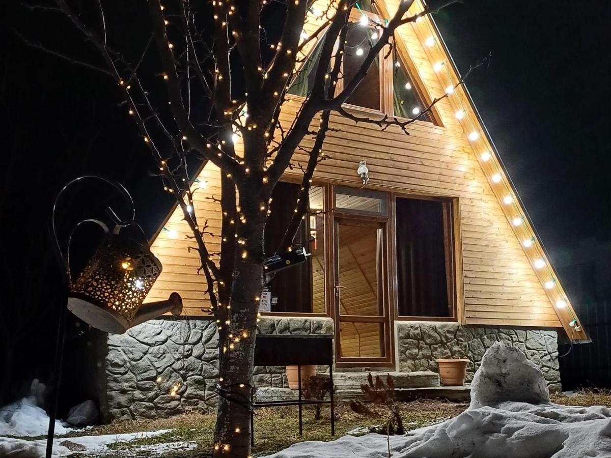 Forest hut - B&B Borjomi