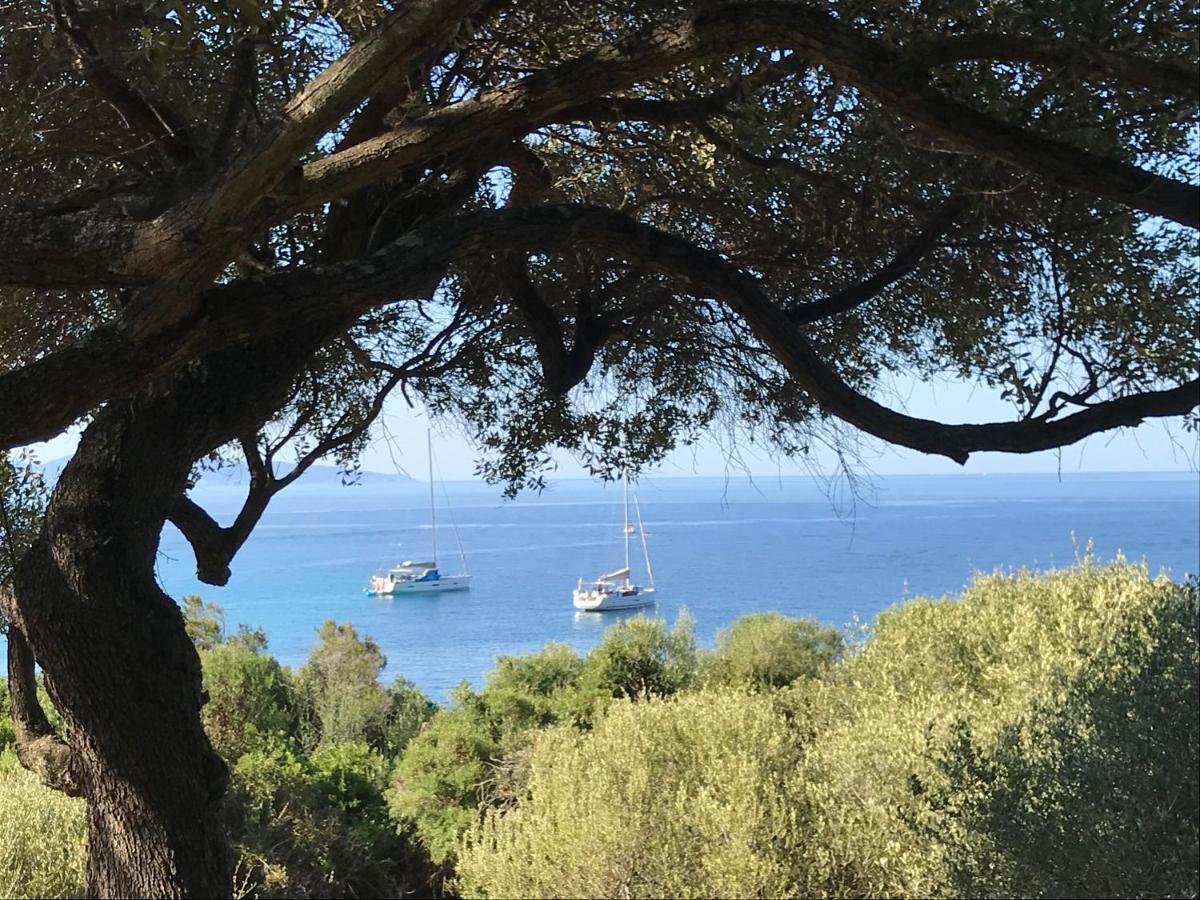 Huis met 1 Slaapkamer