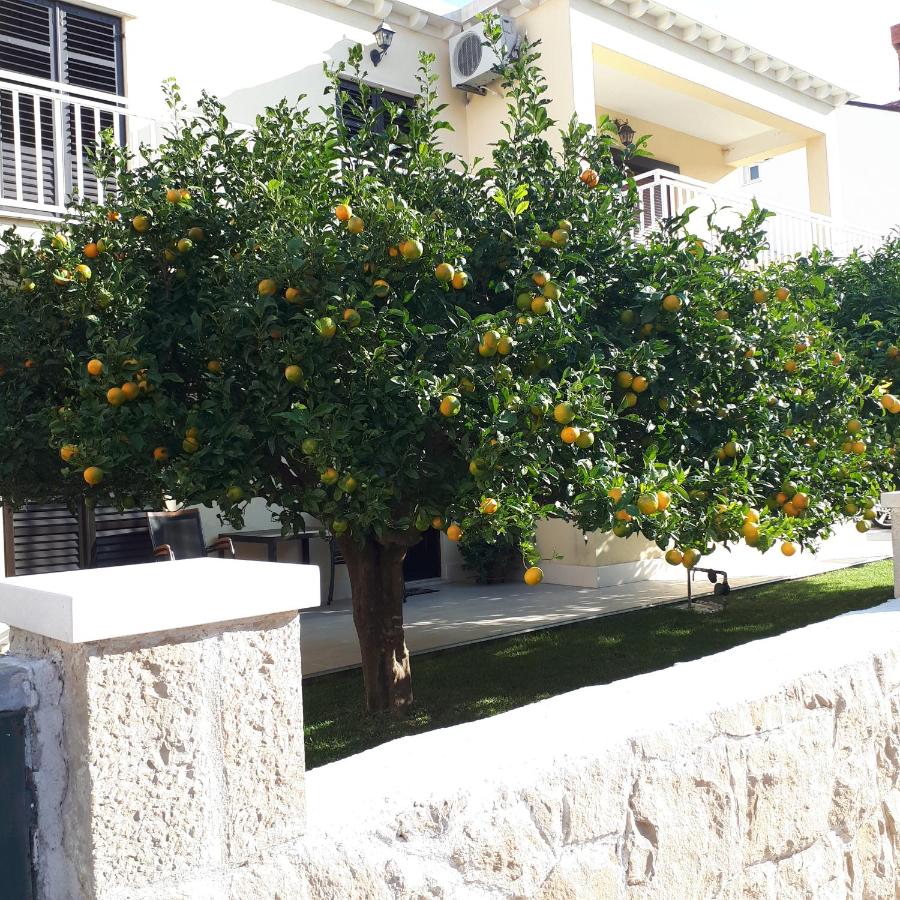 Antares Apartments - B&B