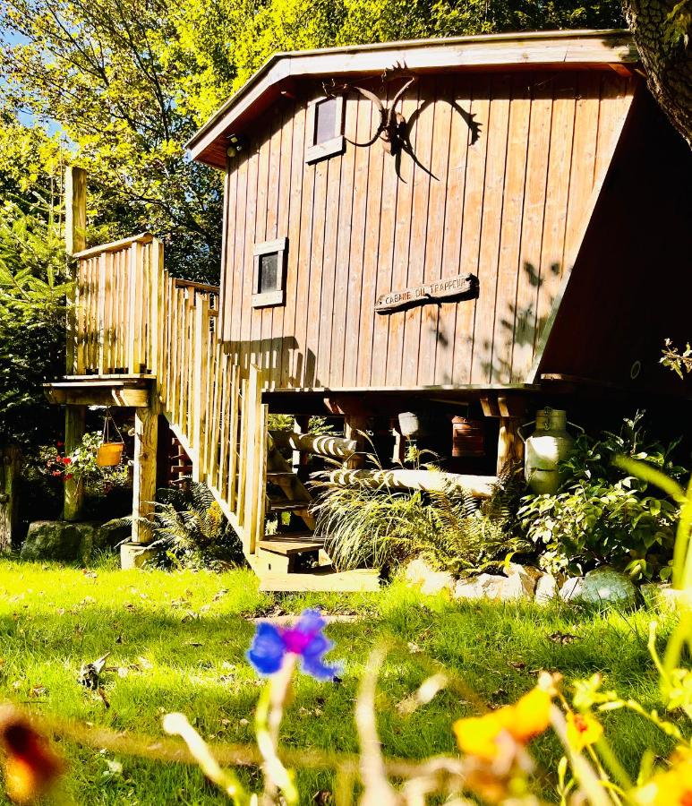 La cabane perchée du trappeur - B&B