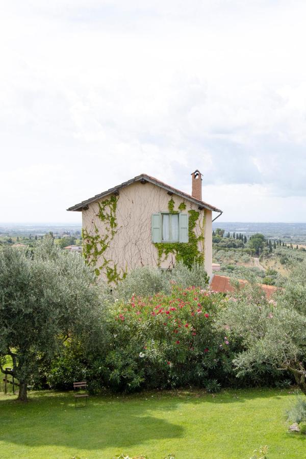 Pineta - Apartment with Sea View