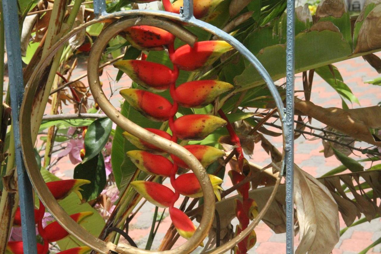 Sweetsop Jamaica Villa and Tour - Bed and Breakfast Montego Bay