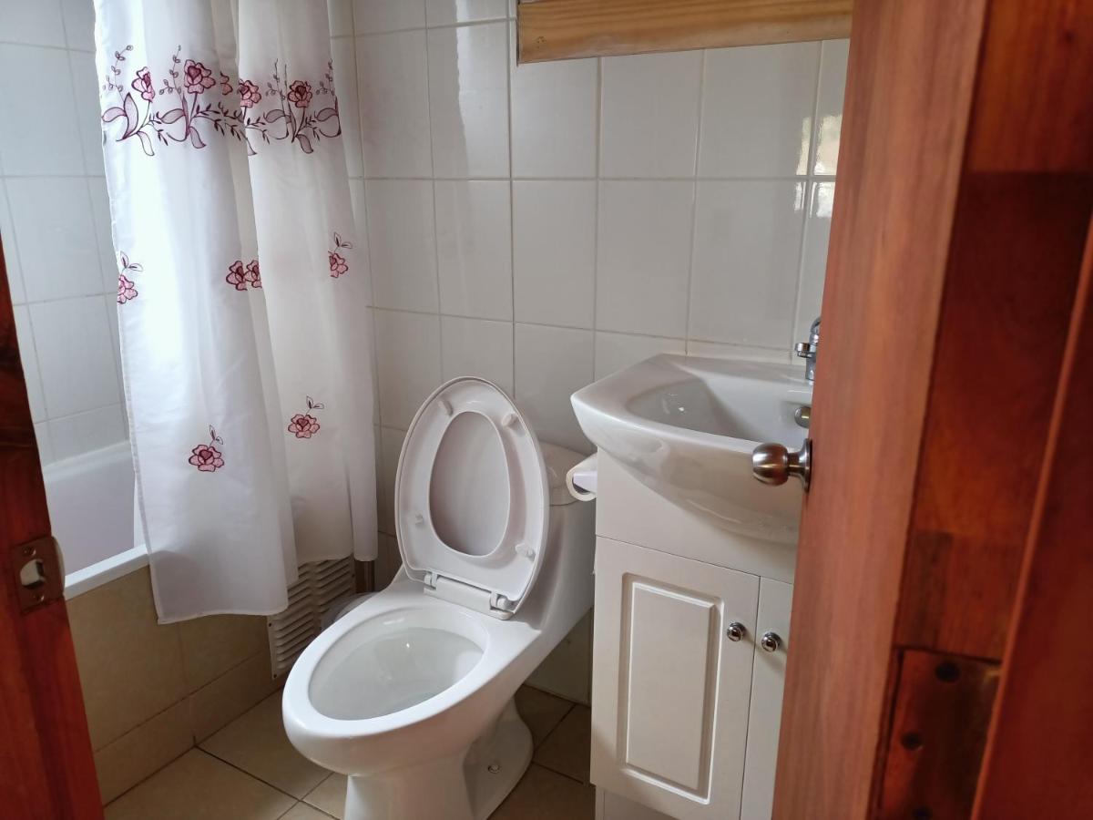 Appartement 1 Chambre