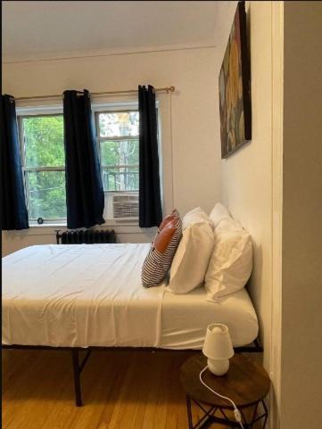 Studio Downtownhighfallskitchentvunitypet - B&B