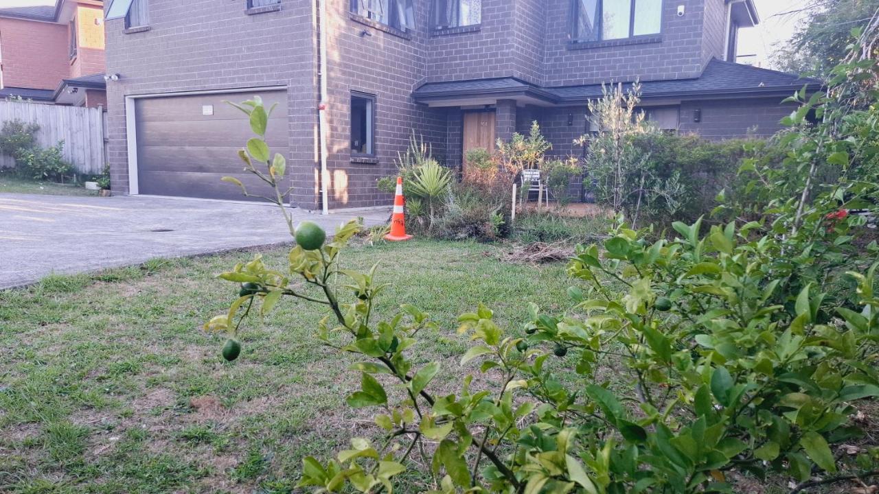 Modern Sunny & Comfy Rooms with Ultra-Fast Fibre & Free Parking in Auckland - Bed and Breakfast Auckland