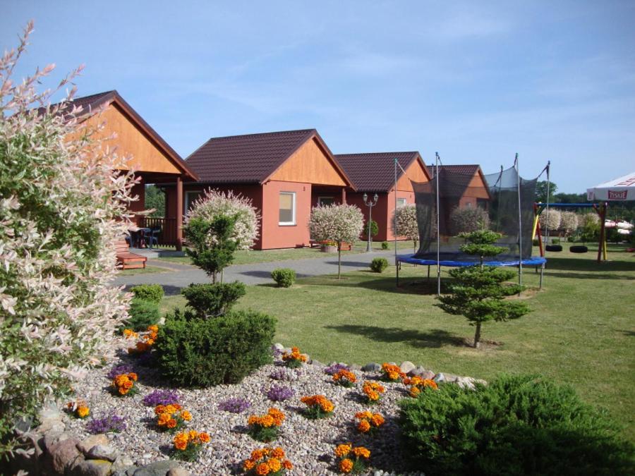 Domki Pod Kasztanem - B&B Dąbki