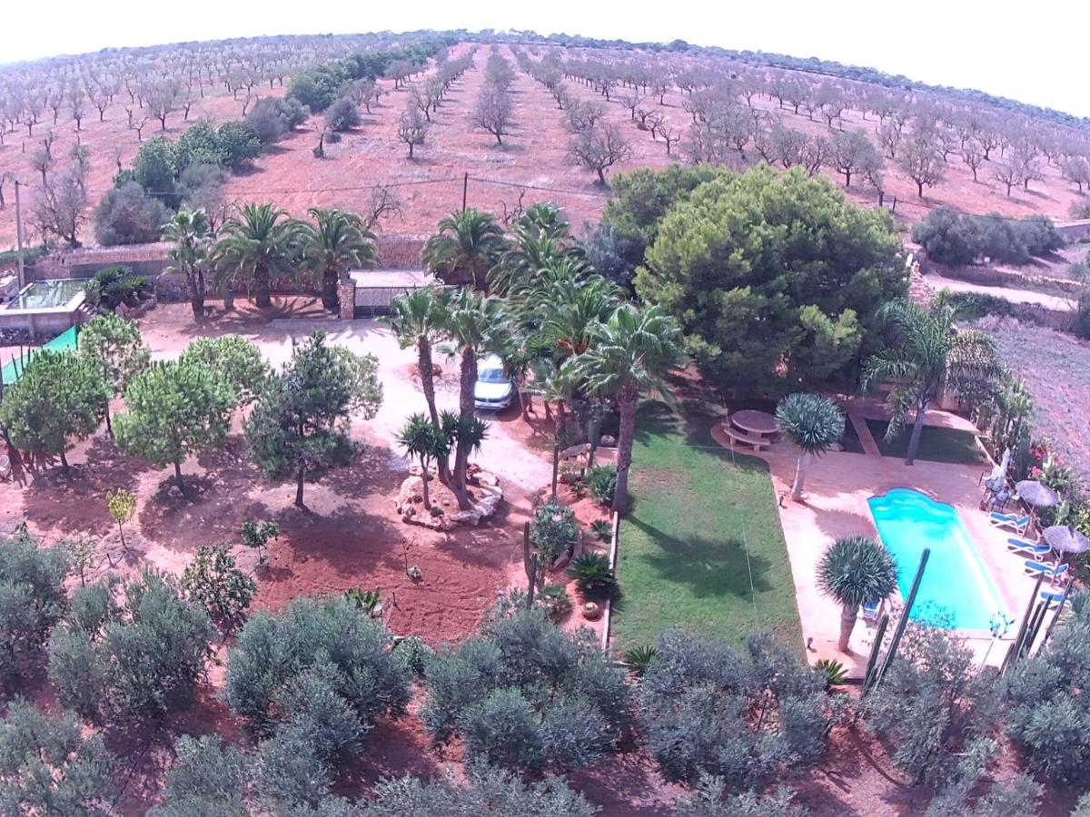 Finca Los Olivos - Grupo Berna - Ferienwohnung ses Salines