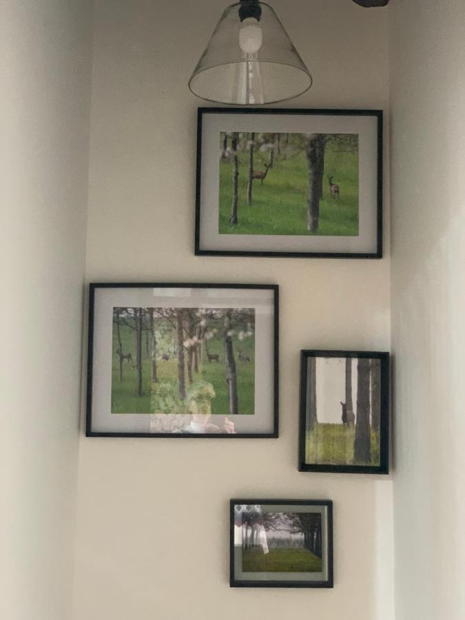 Camera Matrimoniale Deluxe con Doccia