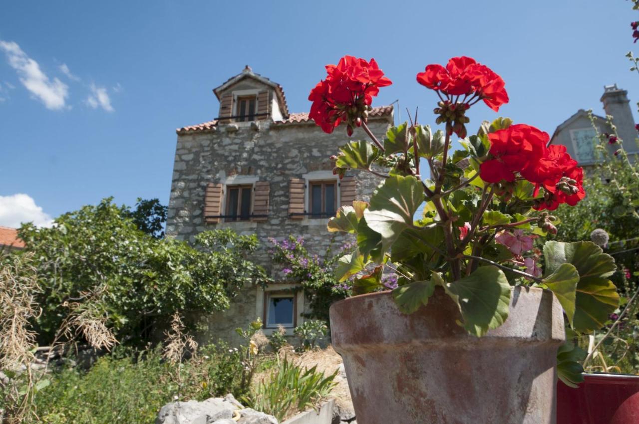 B&B Zlarin - Stone house Na Rudini - Bed and Breakfast Zlarin