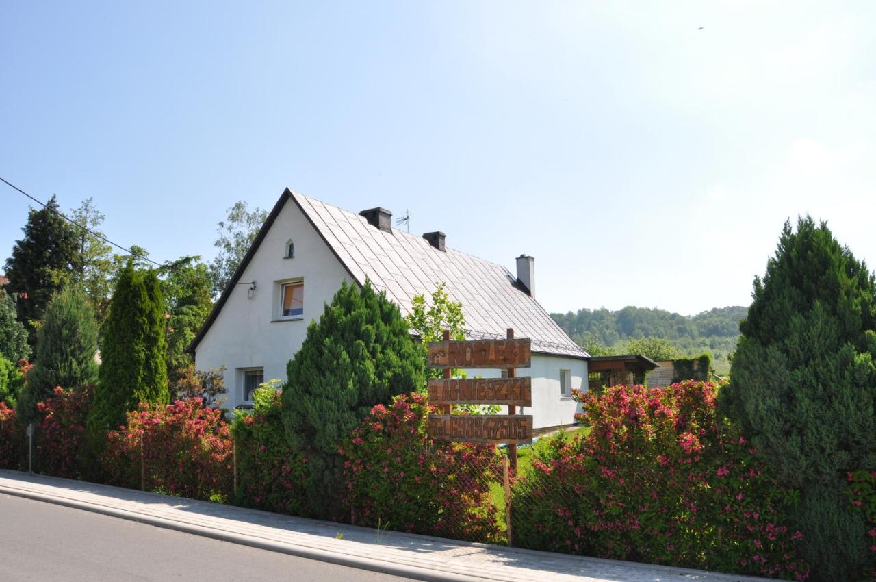 Noclegi u Agnieszki - B&B Jarnołtówek