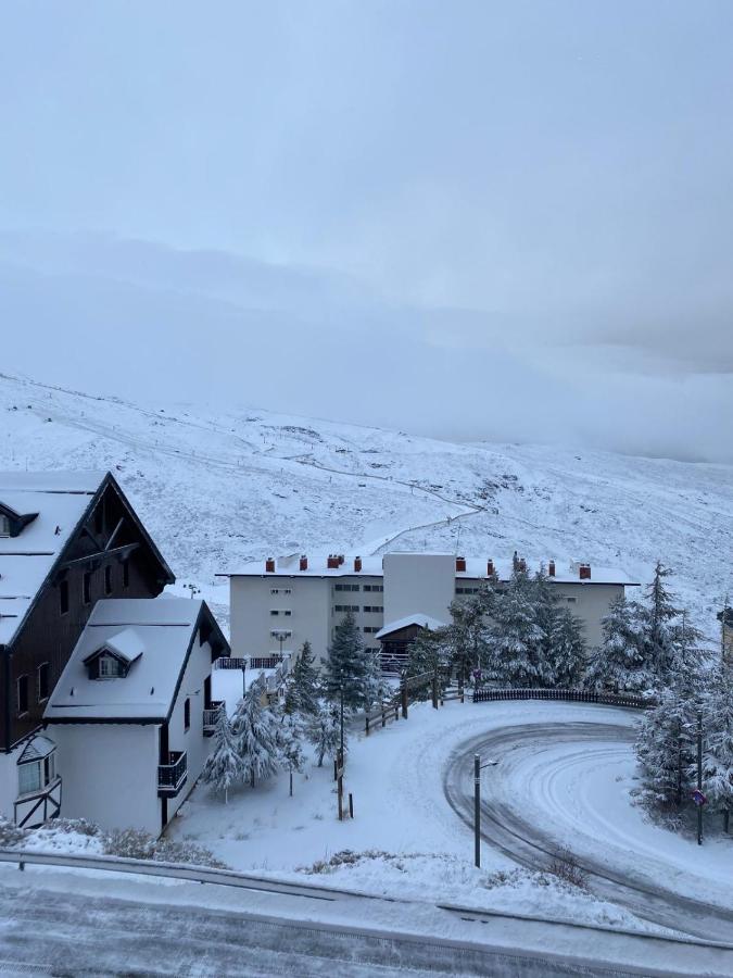 Living Home Sierra Nevada - B&B