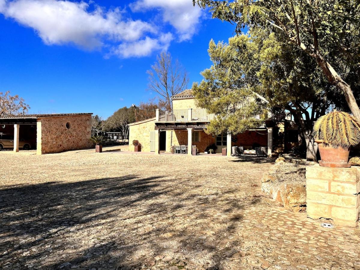 Cream homes Son Celles, ETV3533 - Ferienwohnung Sencelles