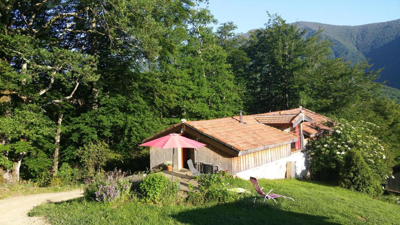 Gite du Pic noir - Ferienwohnung