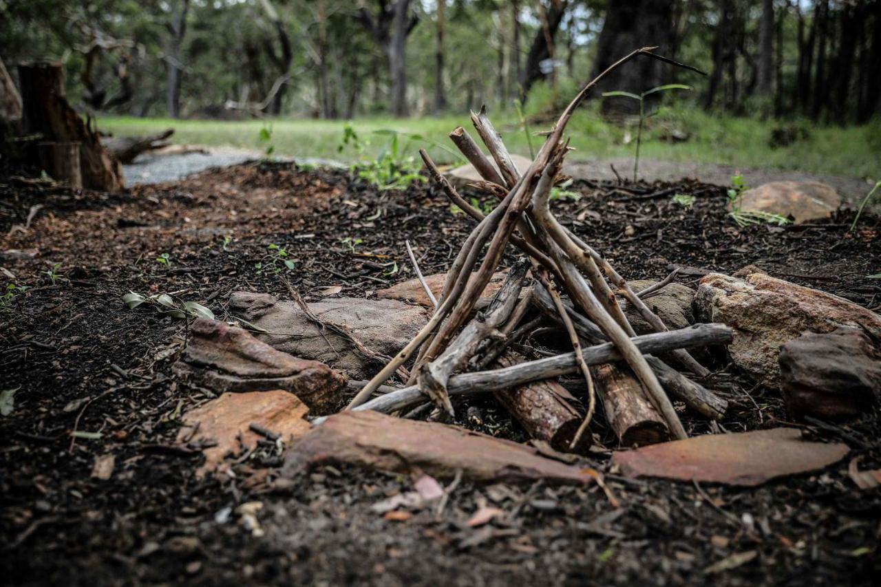 Solitary Islands Farm Tiny House by Tiny Away - B&B Arrawarra