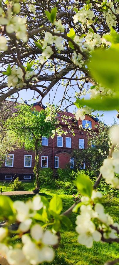 Švyturio papėdė - B&B Nida