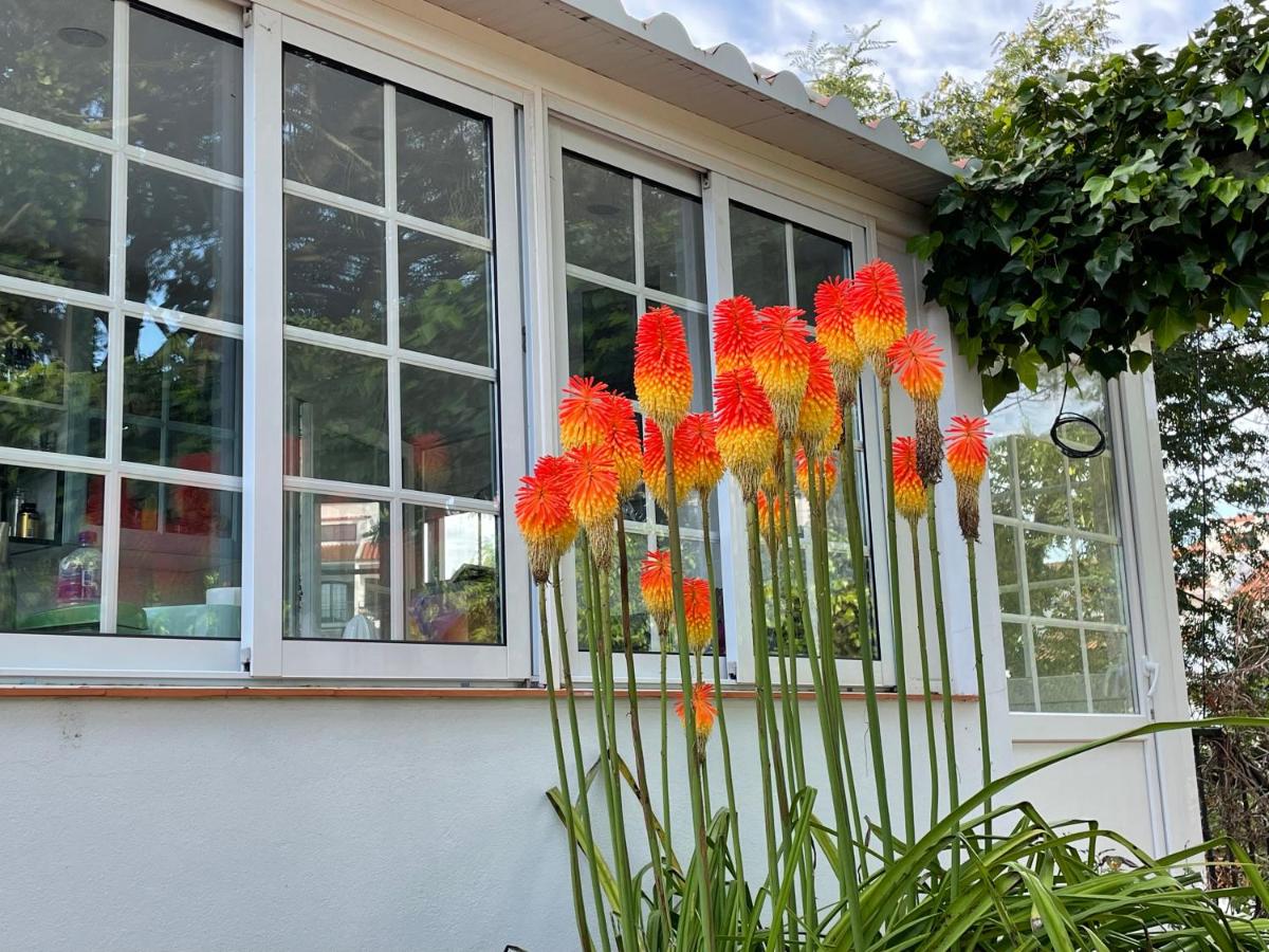 Sesimbra Country House with Swimming Pool - B&B
