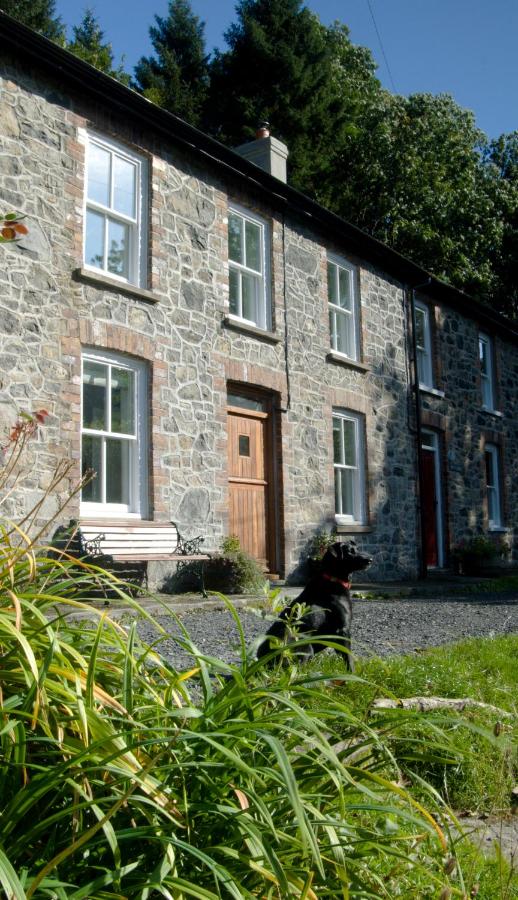 B&B Llanwrtyd Wells - Bronfelin & Troed-y-Rhiw Holiday Cottage - Bed and Breakfast Llanwrtyd Wells