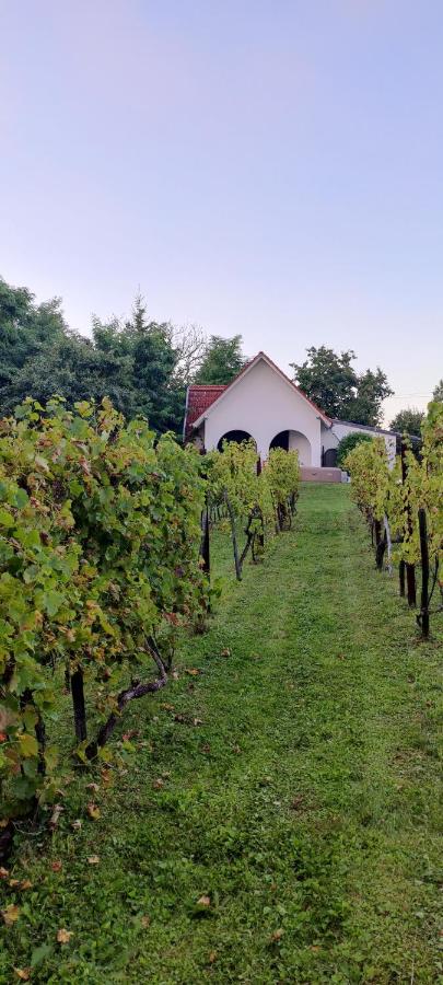 Luxury Vineyard Retreat with Private Jacuzzi - B&B Szigetvár