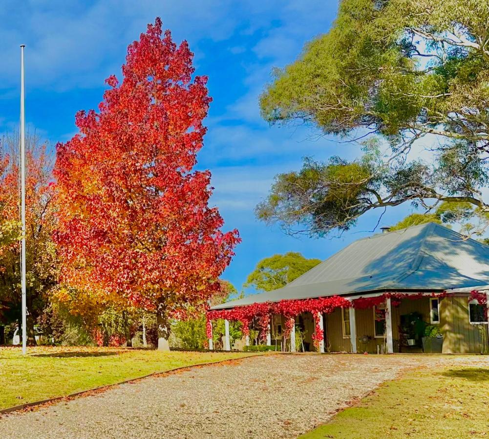 Amberlea Homestead & Cottage - B&B