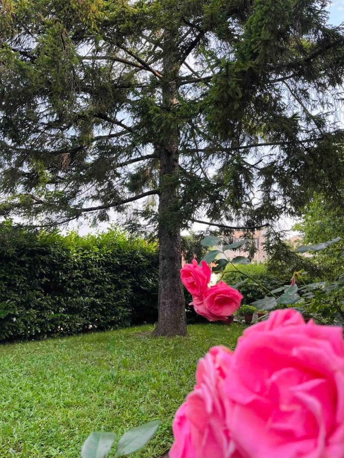 Alloggio il pino - Bed and Breakfast Casaleggio Boiro