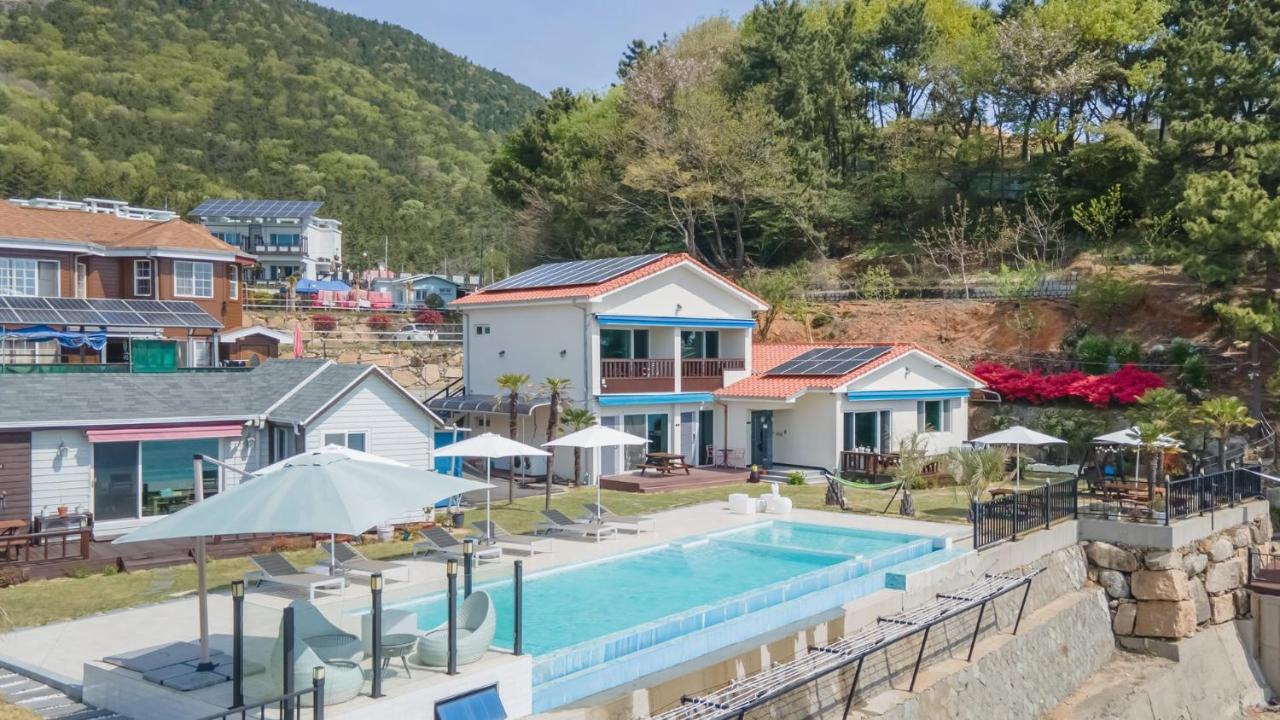 namhae sea stay N pet pension - B&B