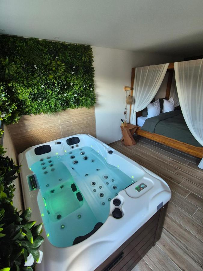 Le Cocoon - Jacuzzi, Sauna et Piscine privée - B&B