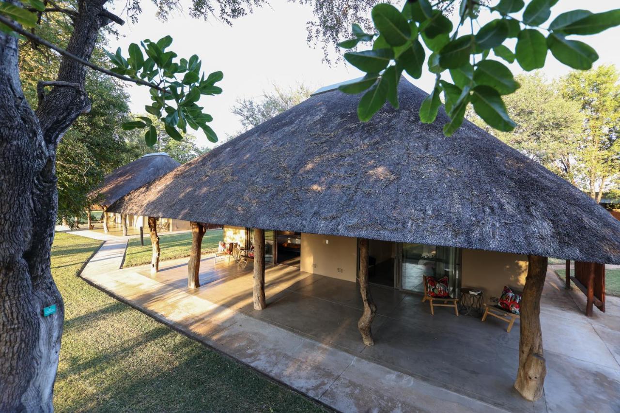 Senalala Safari Lodge - B&B Klaserie Private Nature Reserve
