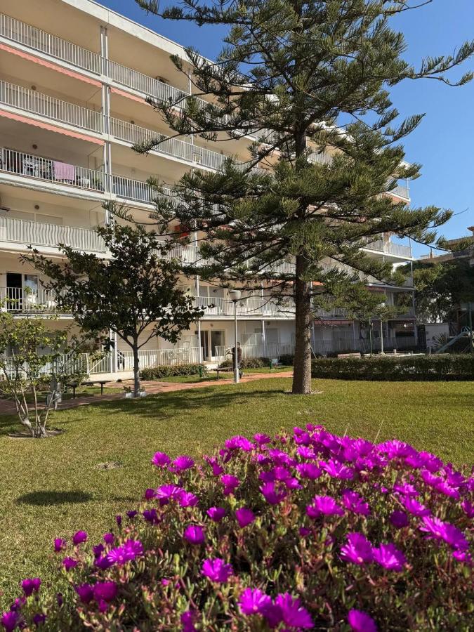 Apartamentos Hesperia Palmyra - Ferienwohnung