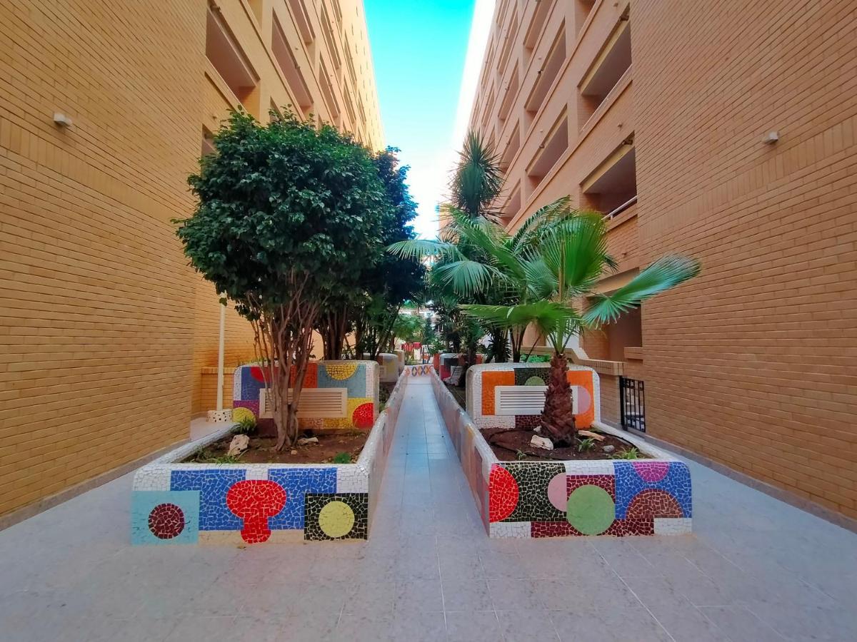 ACV - Neptuno-2ª linea planta baja norte - B&B El Borseral