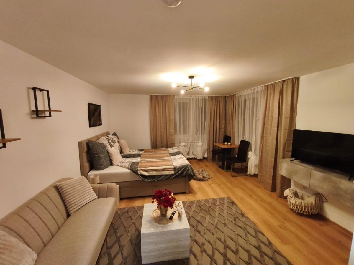 Apartment mit 1 Schlafzimmer